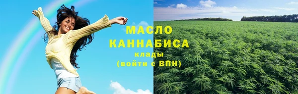 дживик Богородск