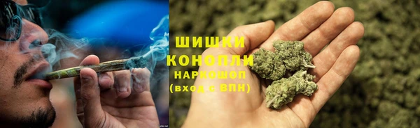 дживик Богородск